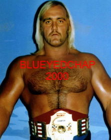 Diktere spids Trække på COMPLETE Title History - Hulk Hogan History